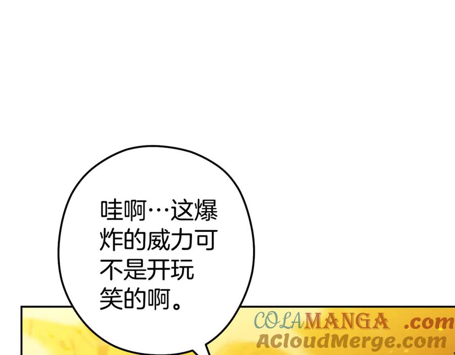 233.jpg