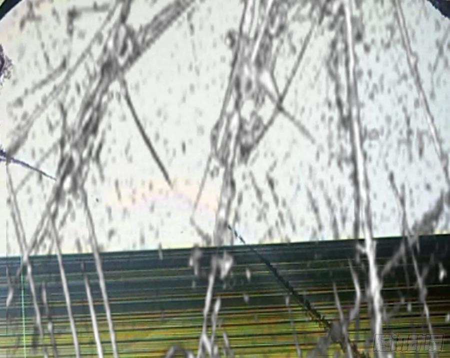 170.jpg
