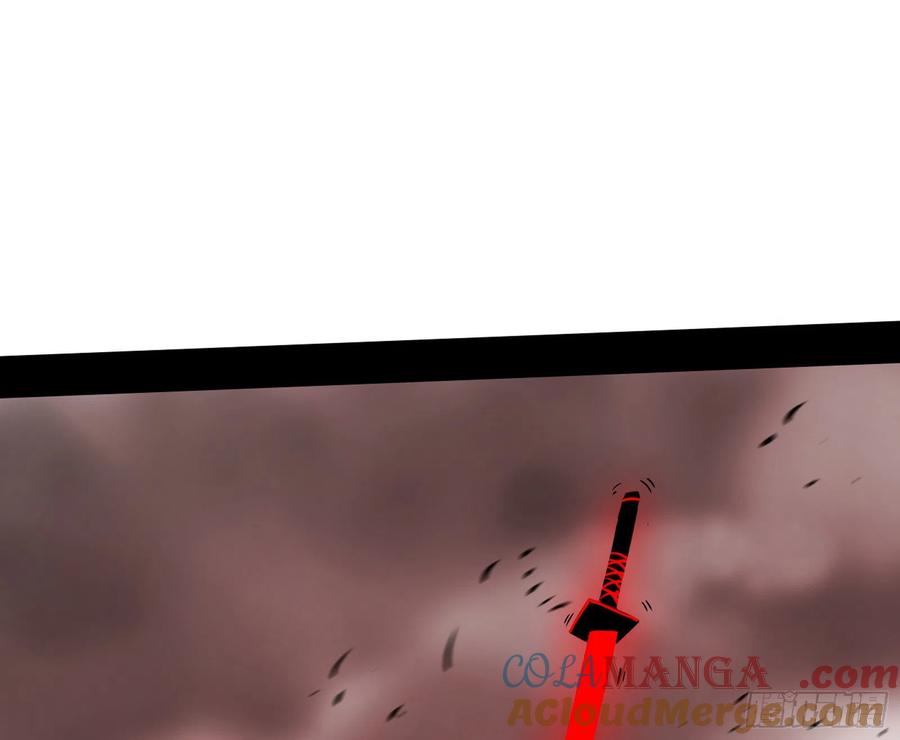 113.jpg