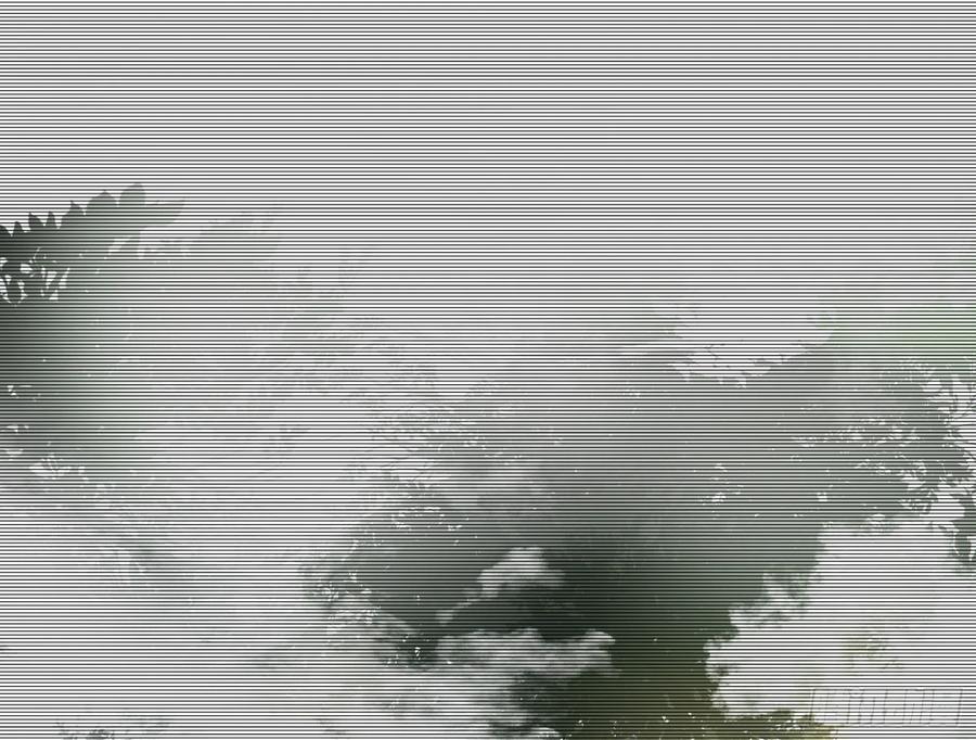 76.jpg