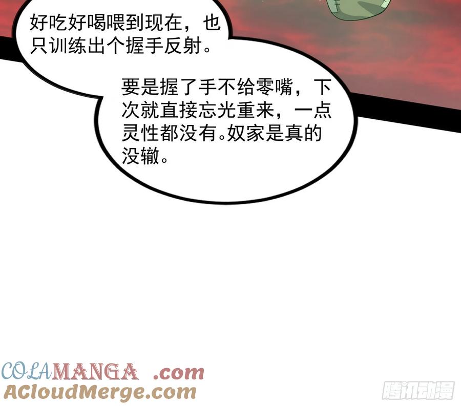 108.jpg