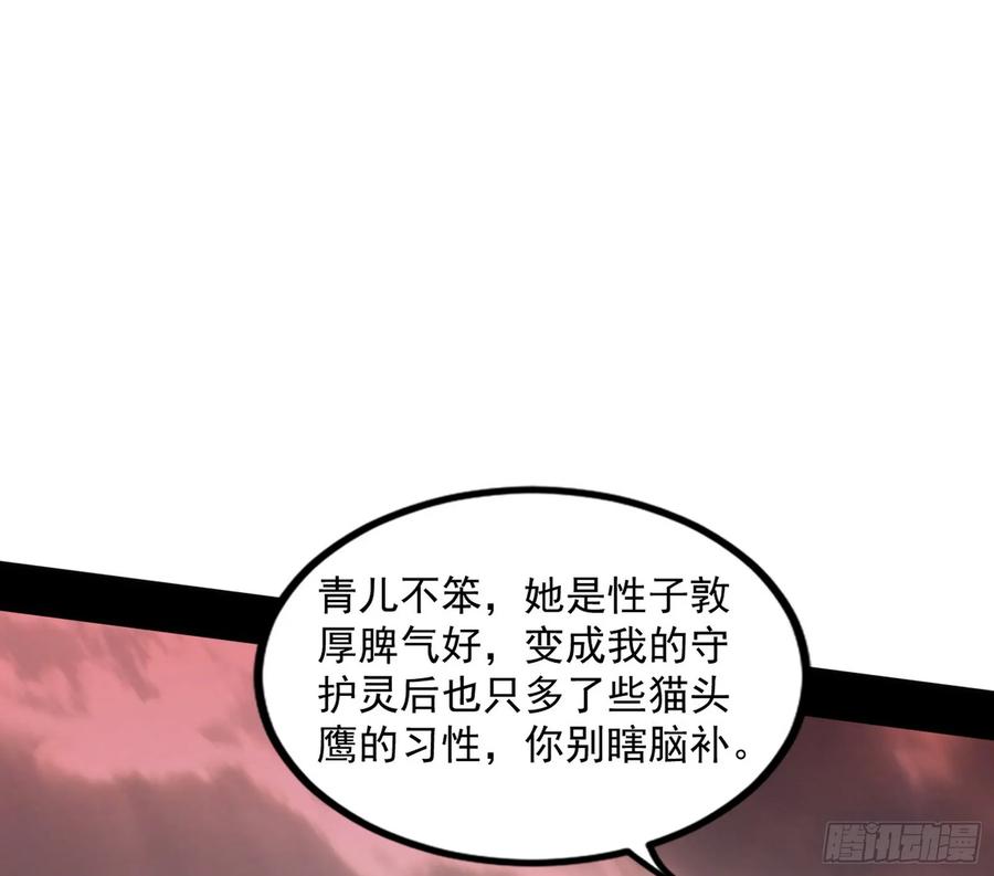 113.jpg