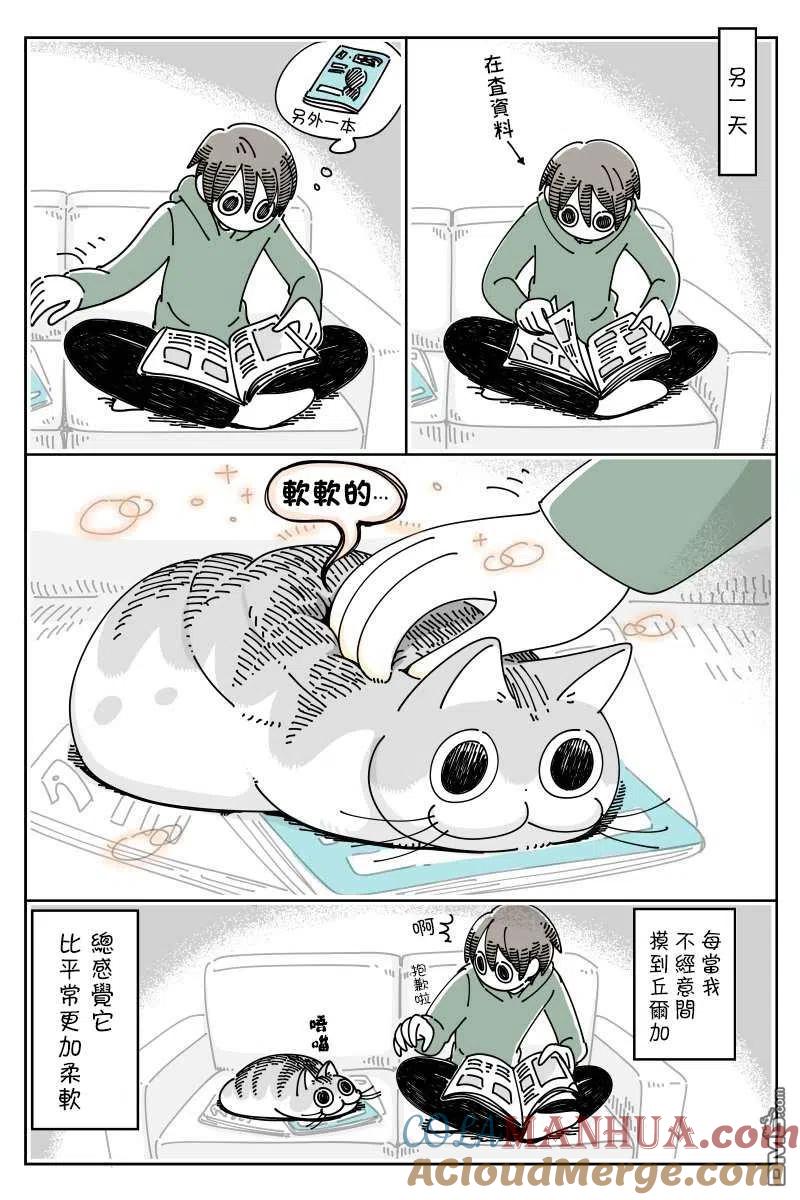 第43话-关于养猫我一直是新手-キュルZ（第2张）