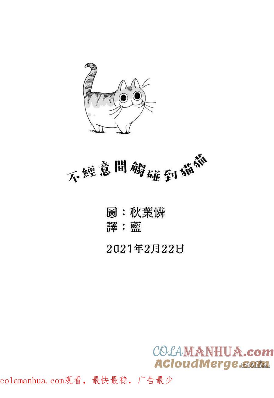第43话-关于养猫我一直是新手-キュルZ（第3张）
