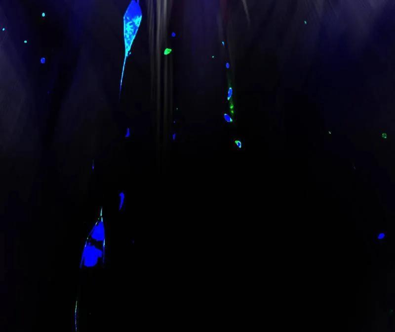 90.jpg