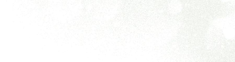 239.jpg