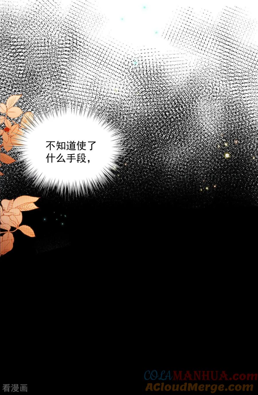 第2话“私生子”-我携幼崽炸翻前夫家-阿柯文化（第7张）