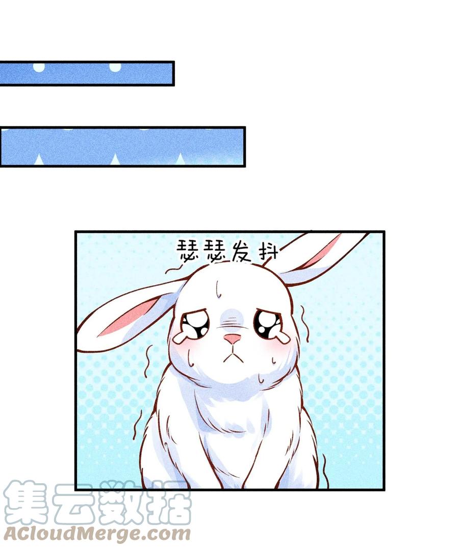 43.jpg