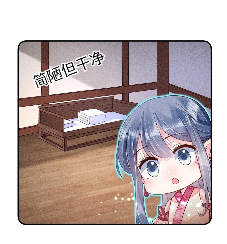 41.jpg