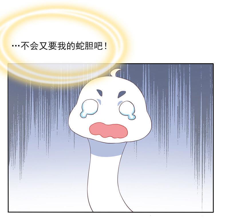 必取蛇胆-天乩之白蛇传说-追梦动漫（第22张）