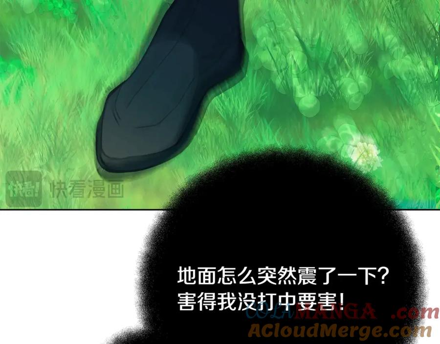237.jpg