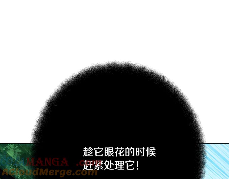 245.jpg