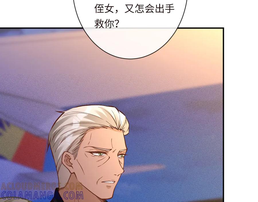 第371入禁林-满级大佬翻车以后-纳兰闲（原著）+虎岫工作室（第13张）