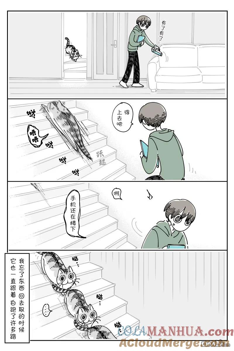 第114话-关于养猫我一直是新手-キュルZ（第2张）