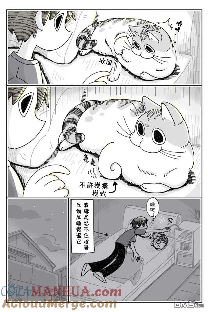 第27话-关于养猫我一直是新手-キュルZ（第1张）