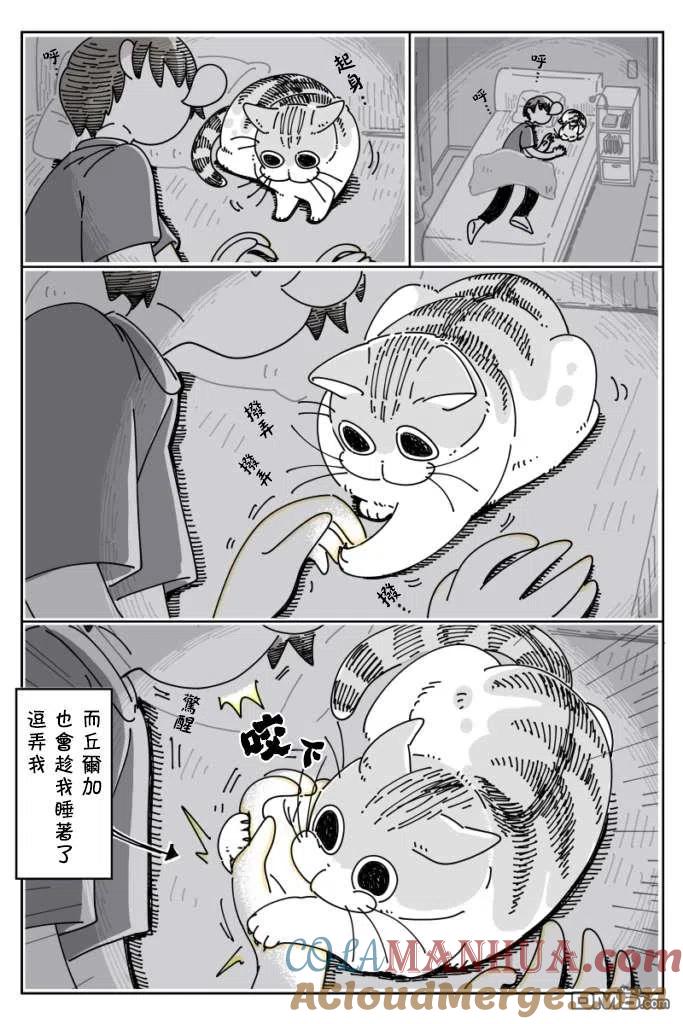 第27话-关于养猫我一直是新手-キュルZ（第2张）