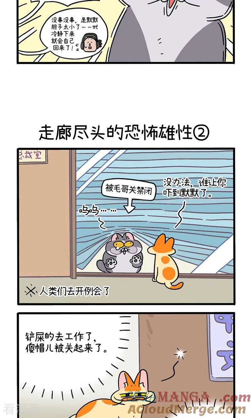 第68话1走廊尽头的恐怖雄性-阿满和麦茶-新漫画 日胖大海寺（第3张）