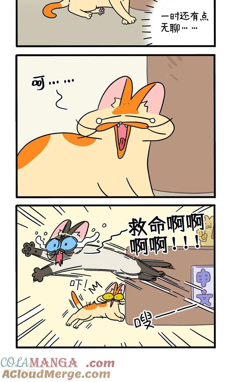 第68话1走廊尽头的恐怖雄性-阿满和麦茶-新漫画 日胖大海寺（第4张）