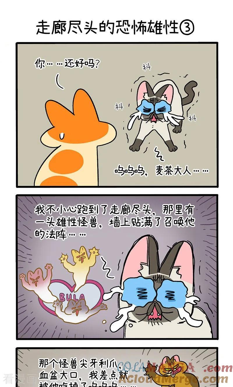 第68话1走廊尽头的恐怖雄性-阿满和麦茶-新漫画 日胖大海寺（第5张）