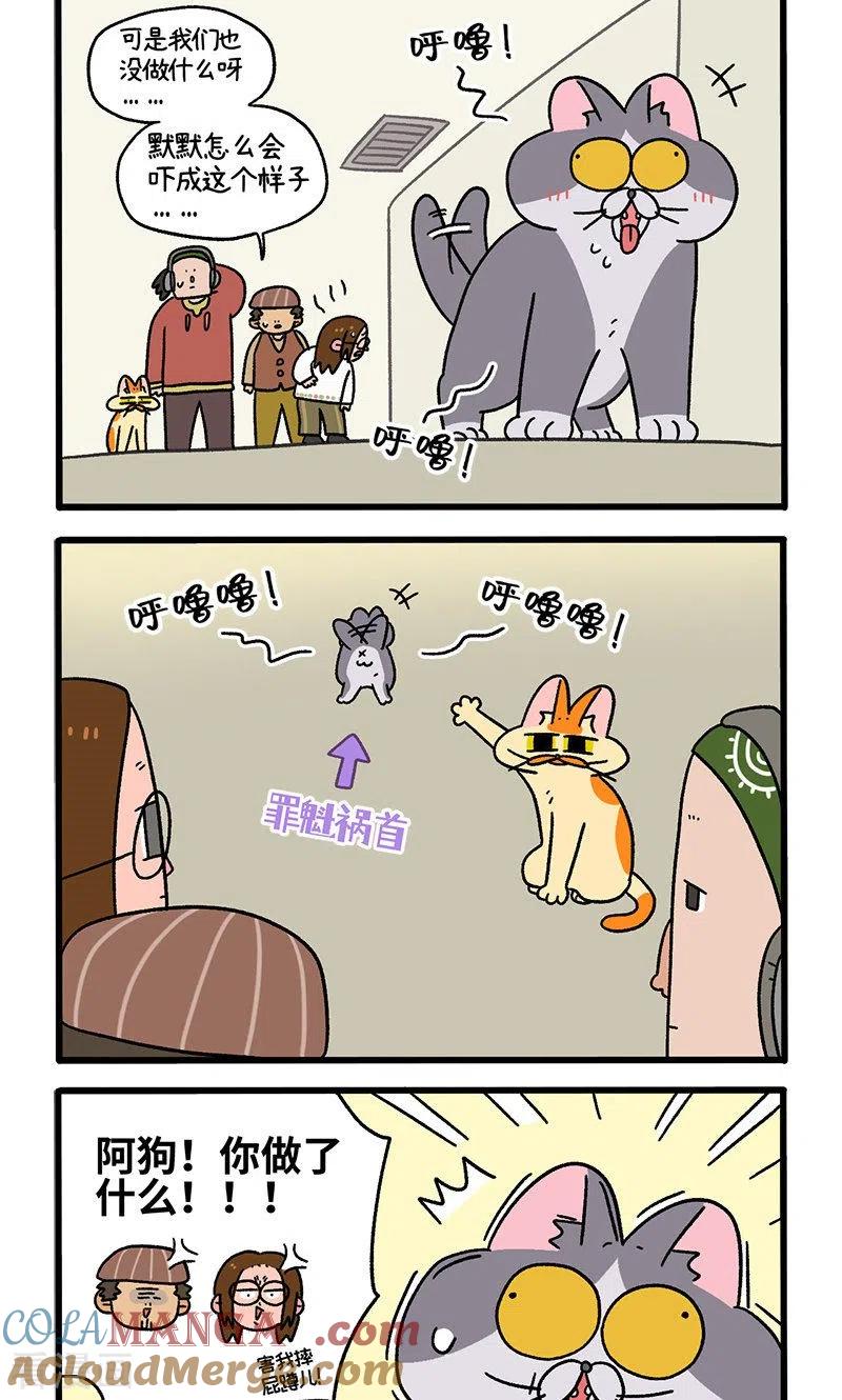 第68话1走廊尽头的恐怖雄性-阿满和麦茶-新漫画 日胖大海寺（第2张）