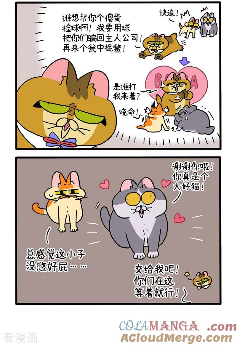 第74话1德皮特的秘密-阿满和麦茶-新漫画 日胖大海寺（第2张）