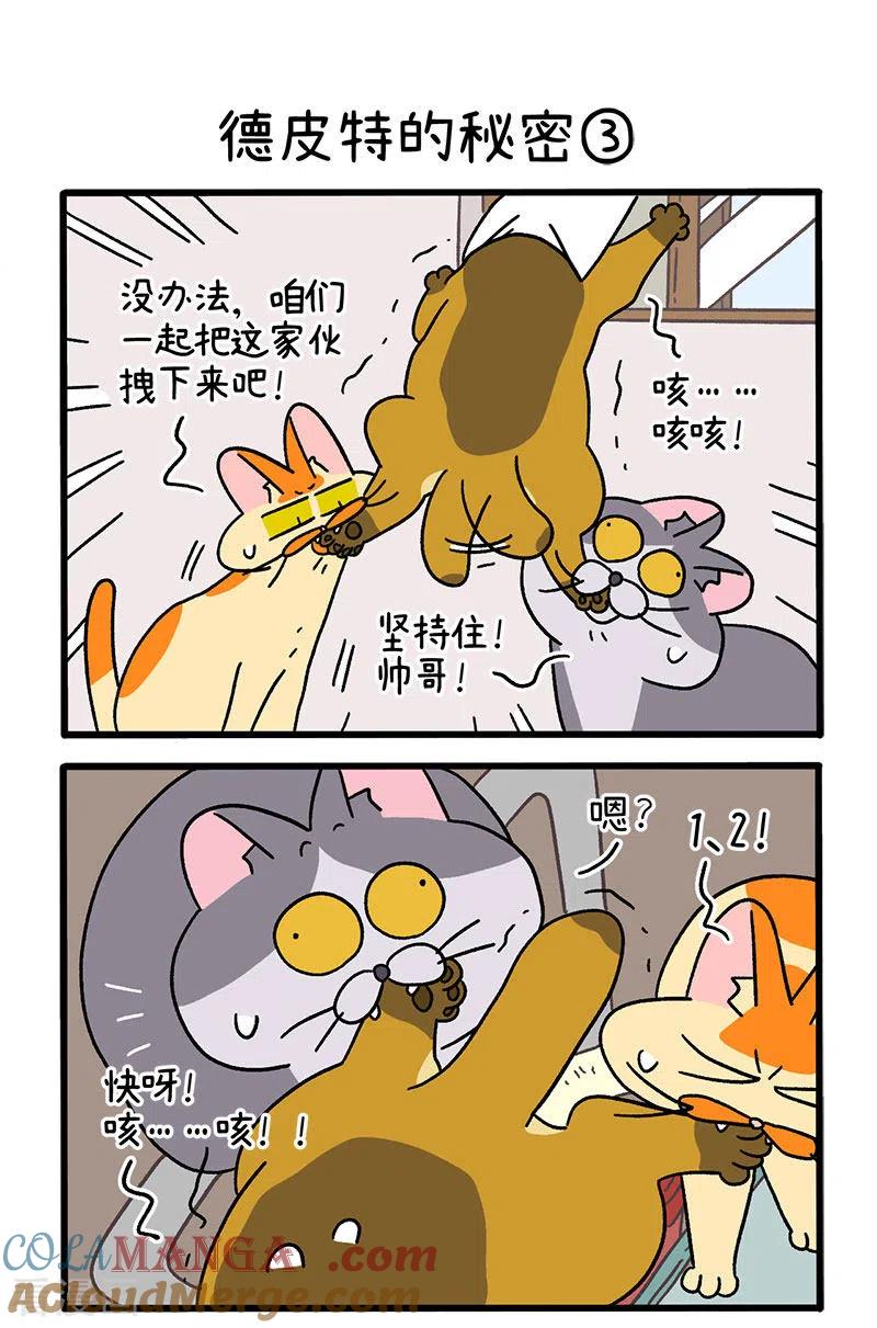 第74话1德皮特的秘密-阿满和麦茶-新漫画 日胖大海寺（第4张）