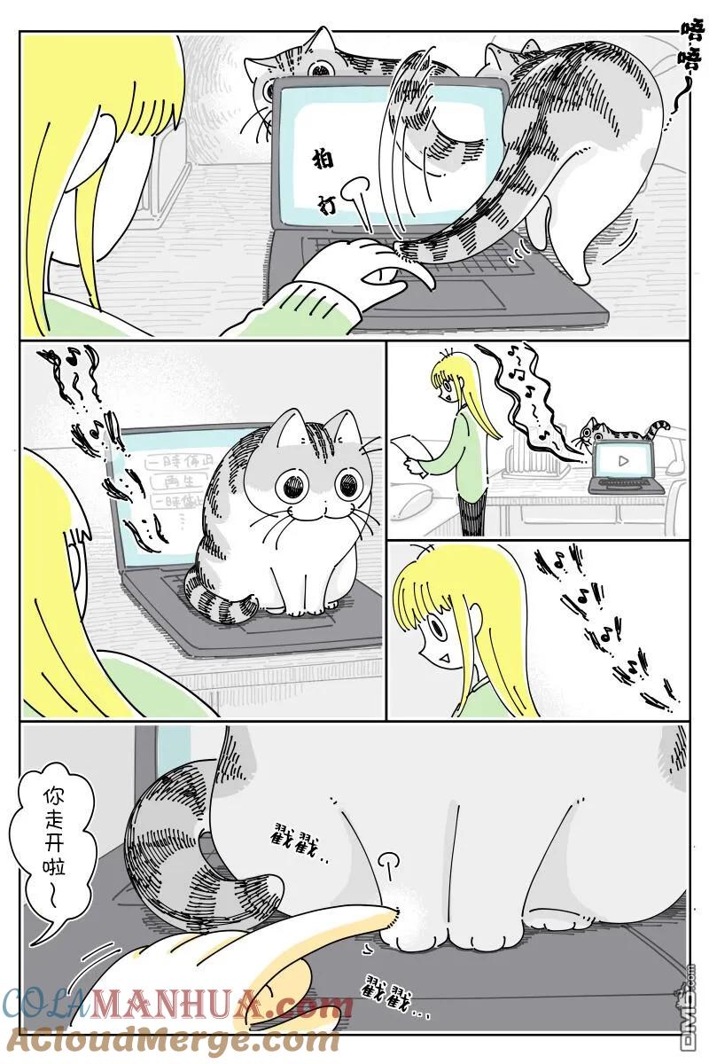 第150话-关于养猫我一直是新手-キュルZ（第1张）