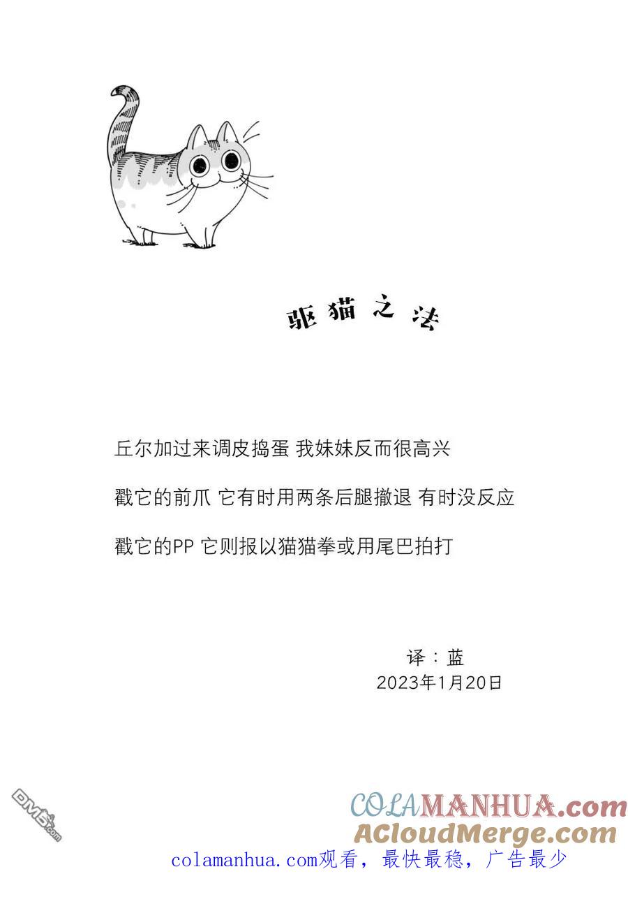 第150话-关于养猫我一直是新手-キュルZ（第3张）