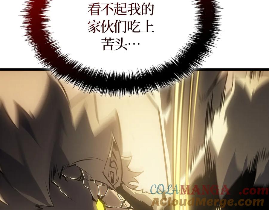 233.jpg