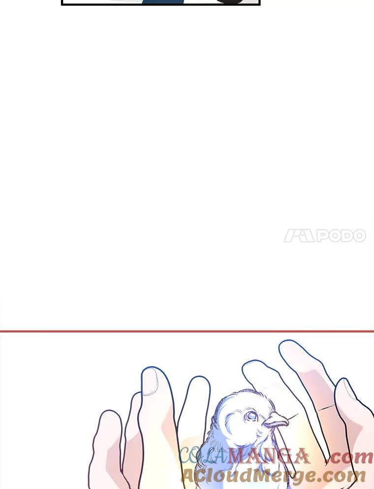 89.jpg