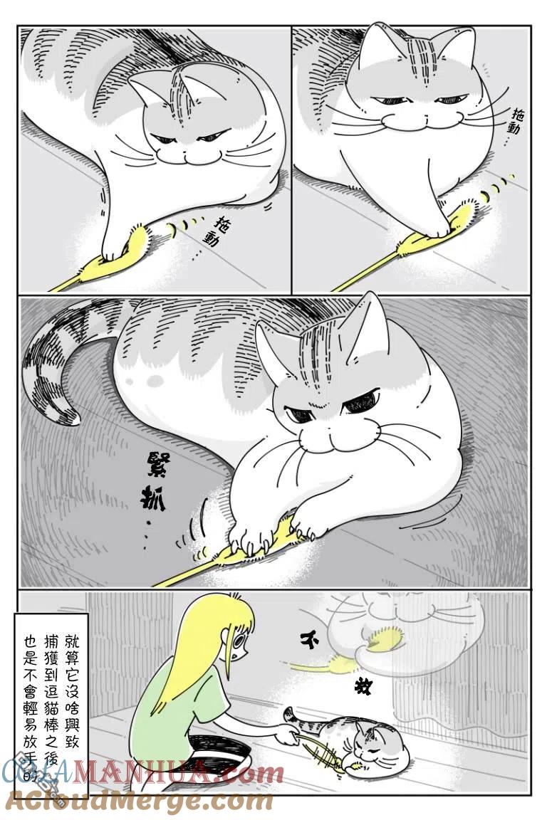 第72话-关于养猫我一直是新手-キュルZ（第2张）
