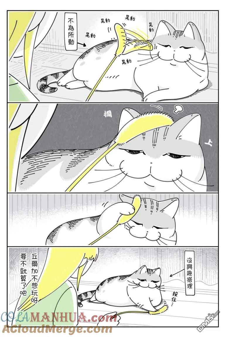 第72话-关于养猫我一直是新手-キュルZ（第1张）
