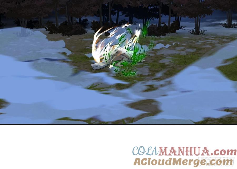 31.jpg