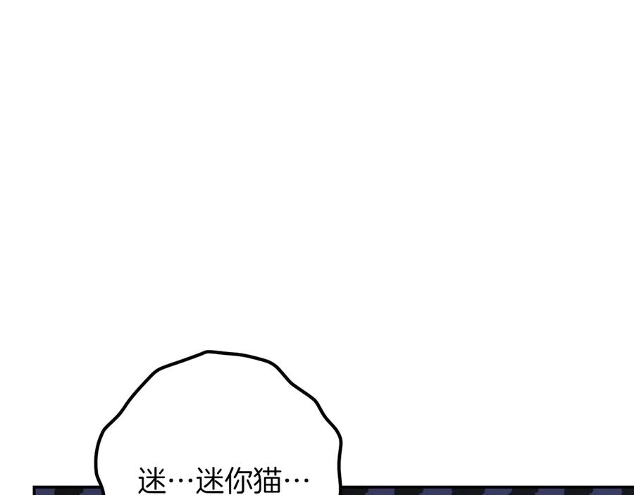 164.jpg