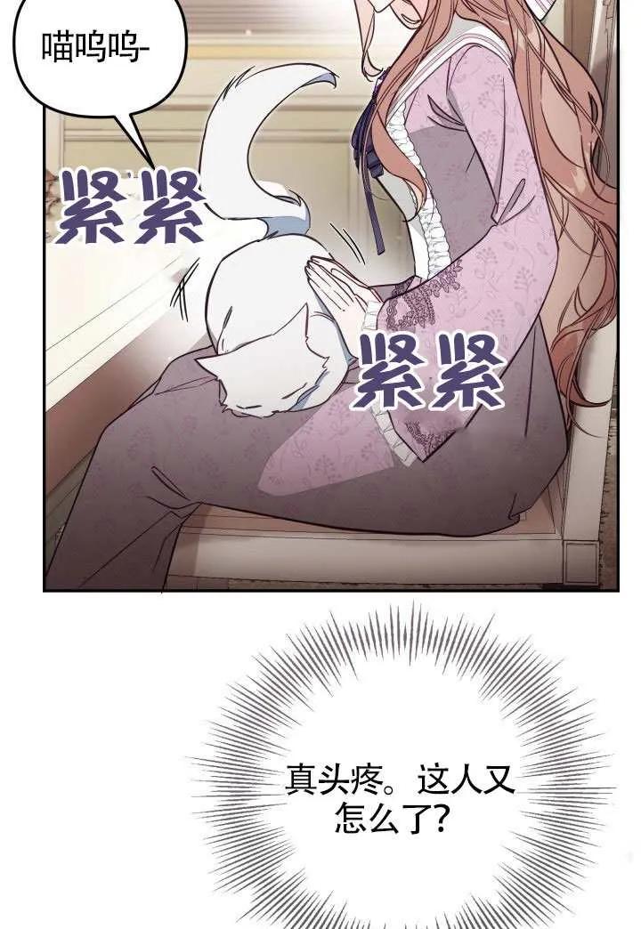 96.jpg