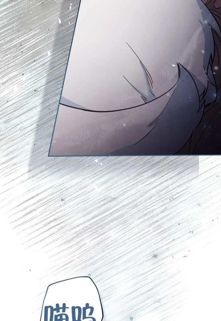 99.jpg