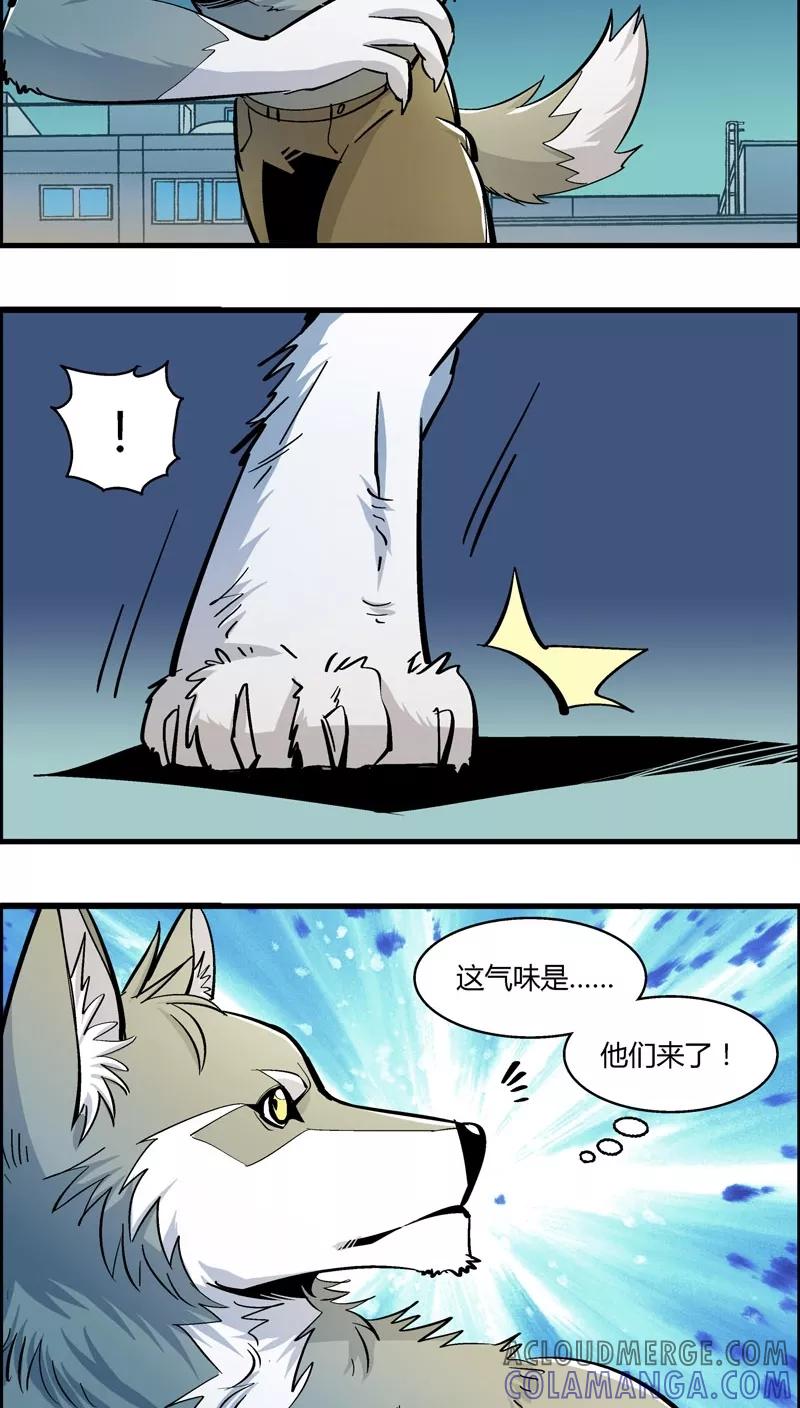 第176话熊警察VS吸血鬼(4)-熊警察-毅鼠（第8张）