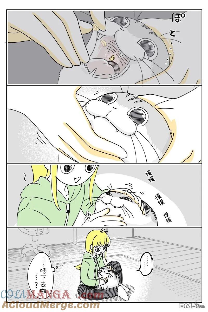 第221话-关于养猫我一直是新手-キュルZ（第1张）