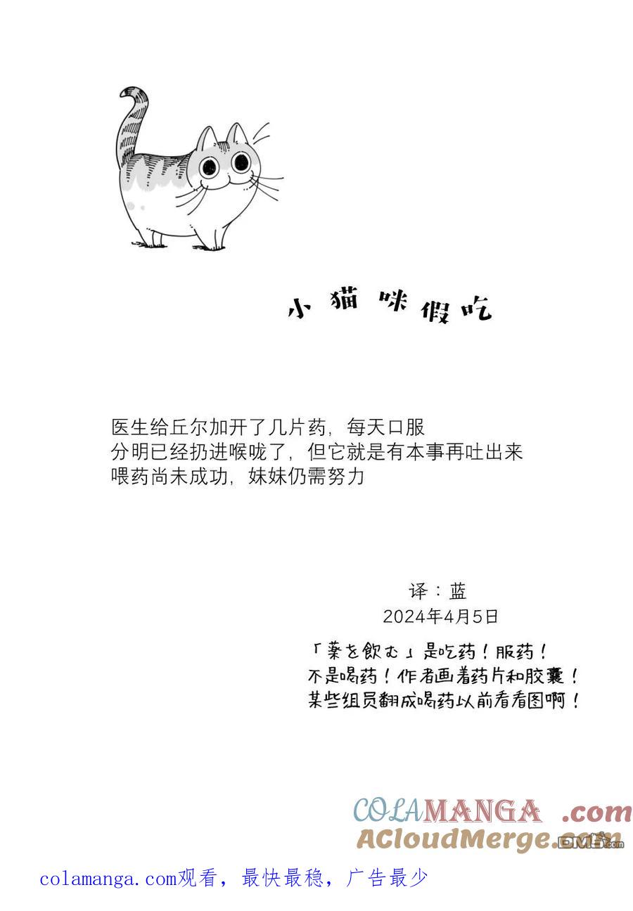 第221话-关于养猫我一直是新手-キュルZ（第3张）