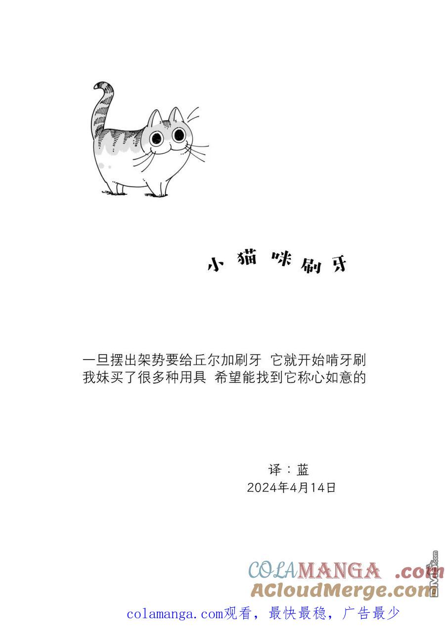 第222话-关于养猫我一直是新手-キュルZ（第3张）