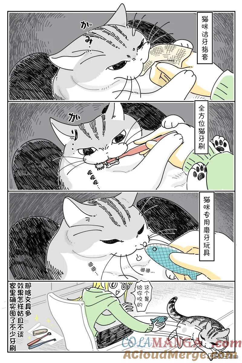 第222话-关于养猫我一直是新手-キュルZ（第2张）