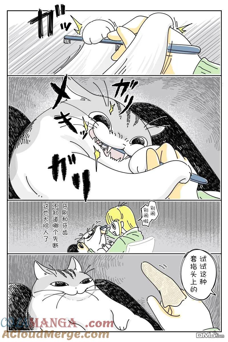 第222话-关于养猫我一直是新手-キュルZ（第1张）