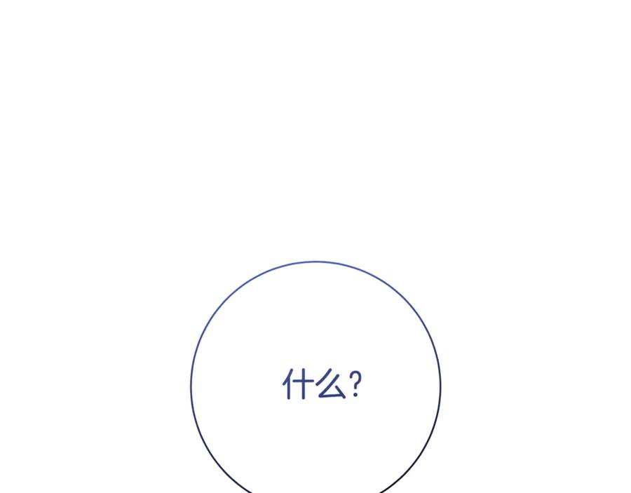 243.jpg