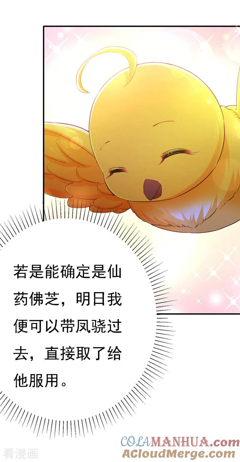 第49话一个不留-我在后宫当大佬-掌阅文化（第6张）