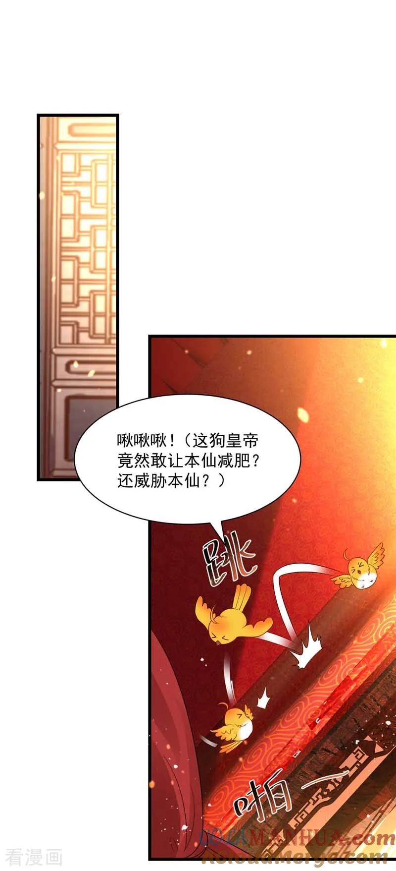 第5话梦中女子-我在后宫当大佬-掌阅文化（第11张）
