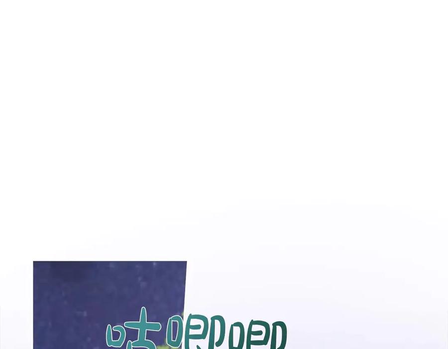 156.jpg