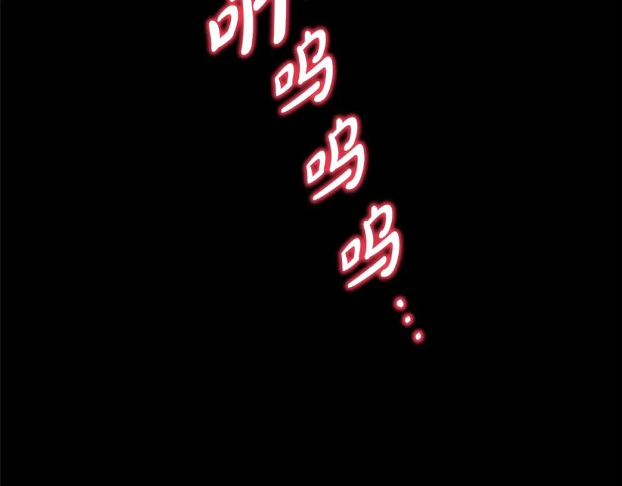 254.jpg
