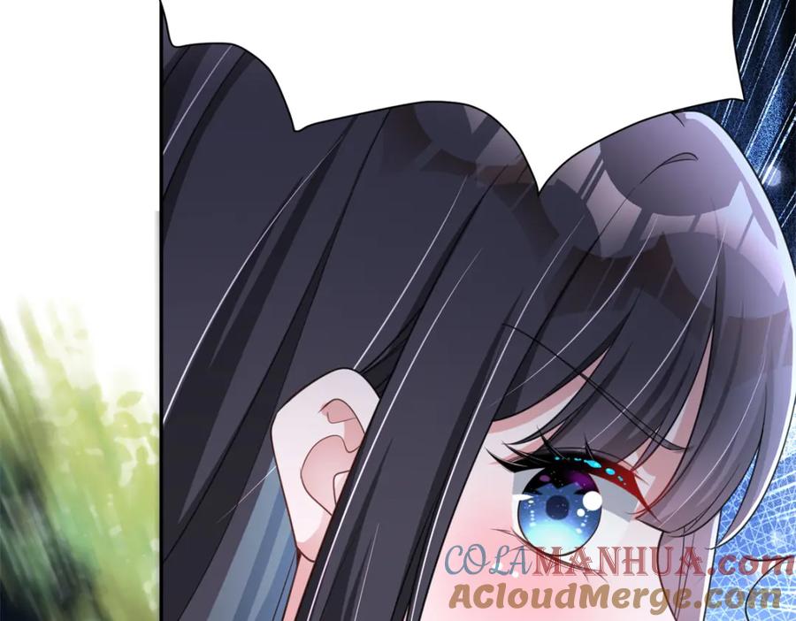 113.jpg
