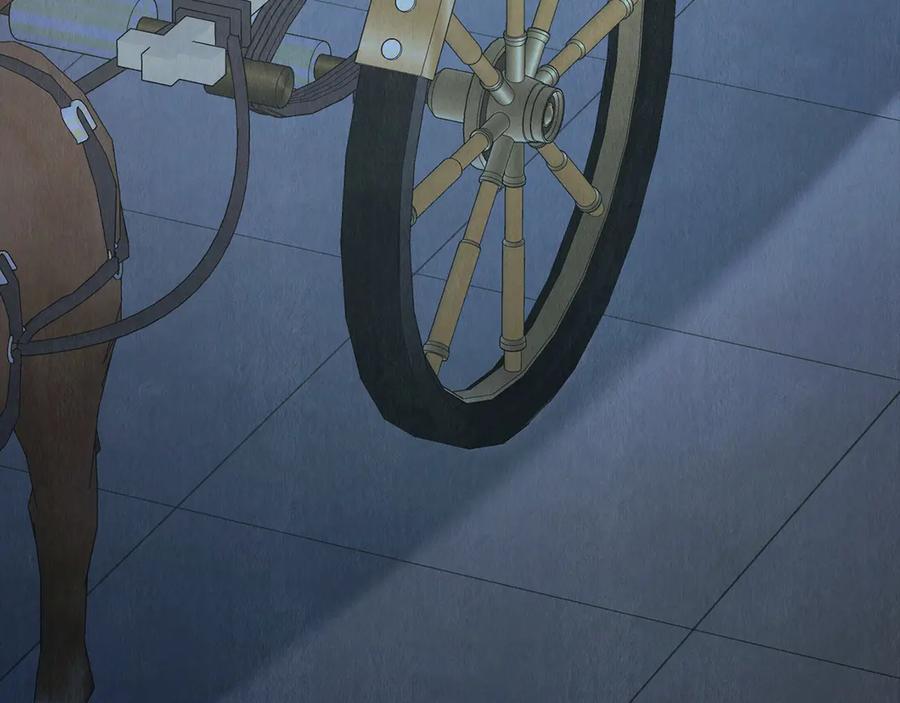 255.jpg