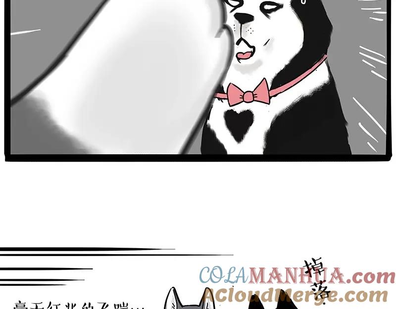 48.jpg